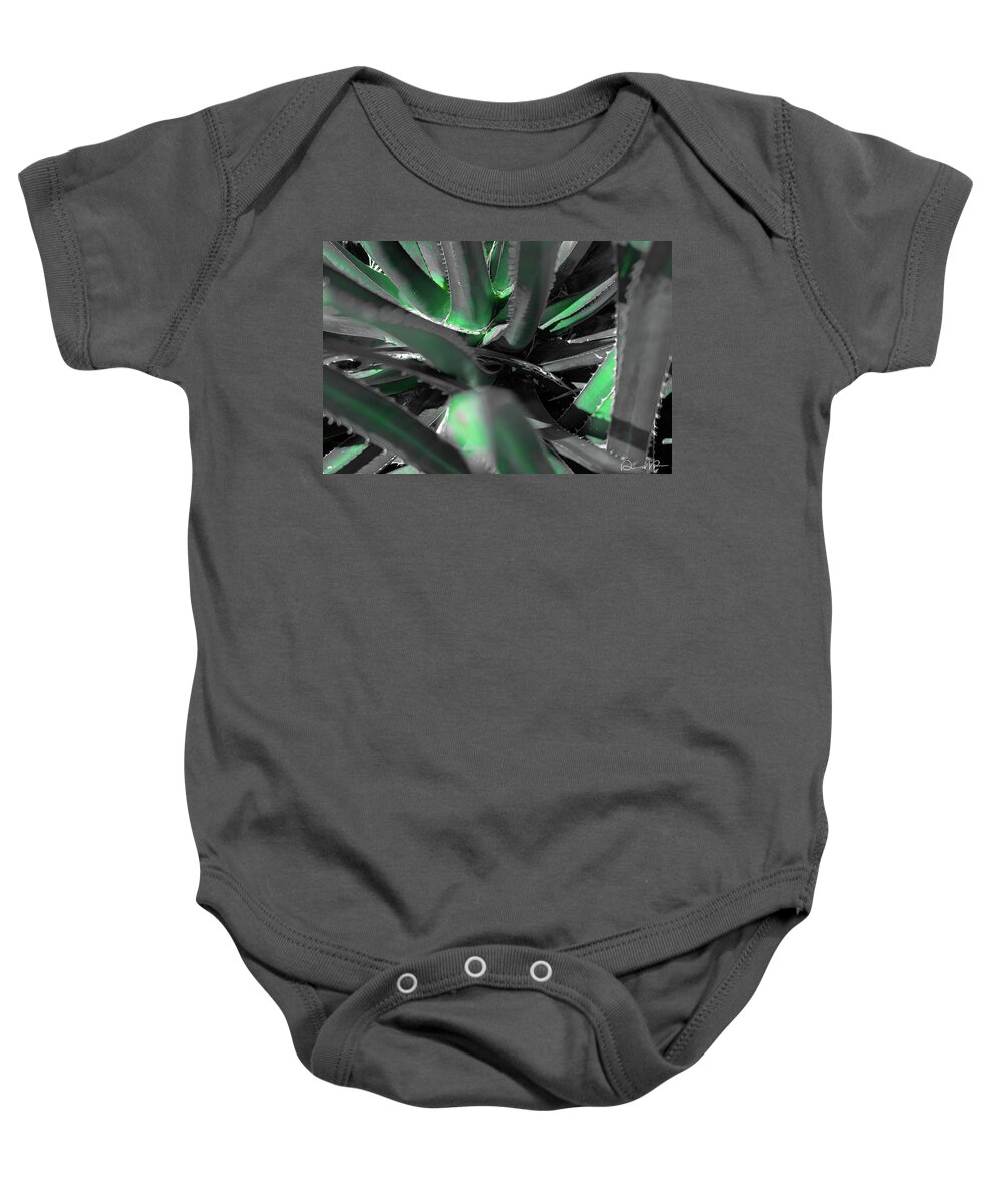 Agave Lechuguilla Baby Onesie featuring the photograph Agave Lechuguilla Color by Dennis Dempsie