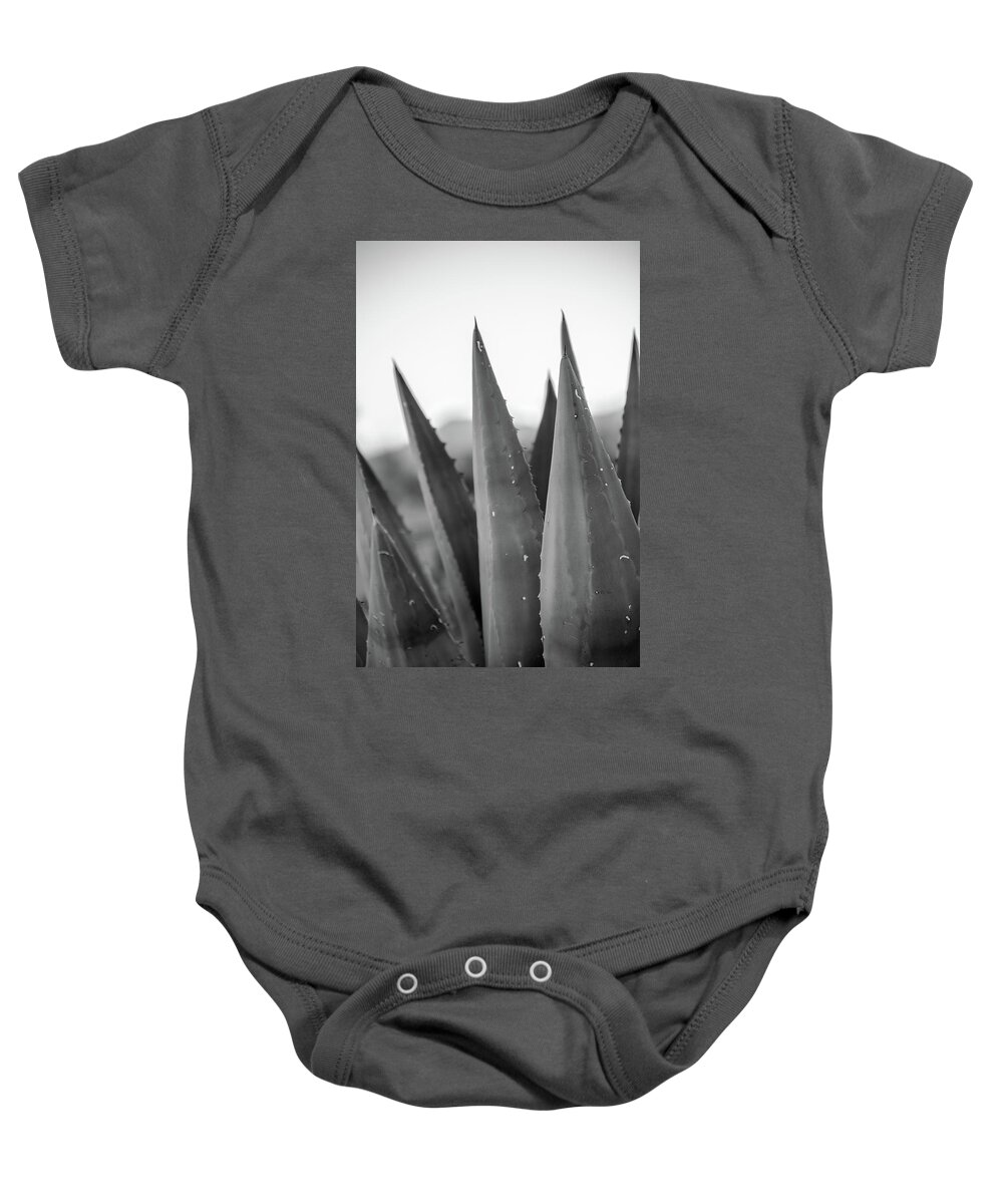 El Paso Baby Onesie featuring the photograph Agave by SR Green