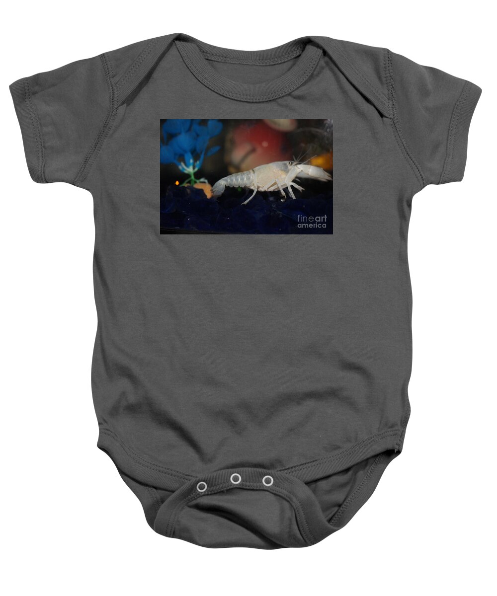 Albino Lobster Baby Onesie featuring the photograph Albino Lobster by Barbra Telfer