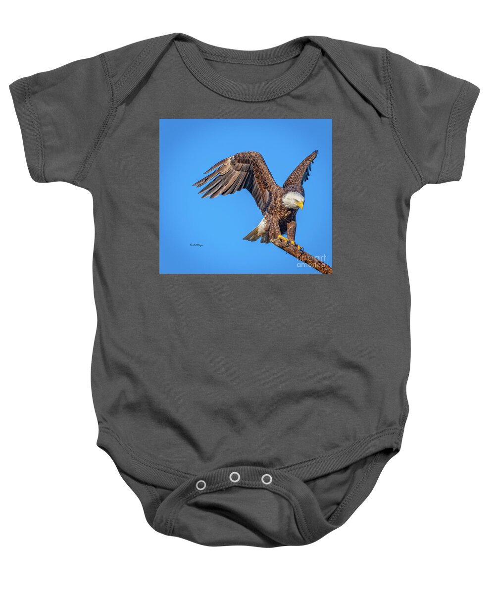 Eagles Baby Onesie featuring the photograph American Bald Eagle Incoming by DB Hayes