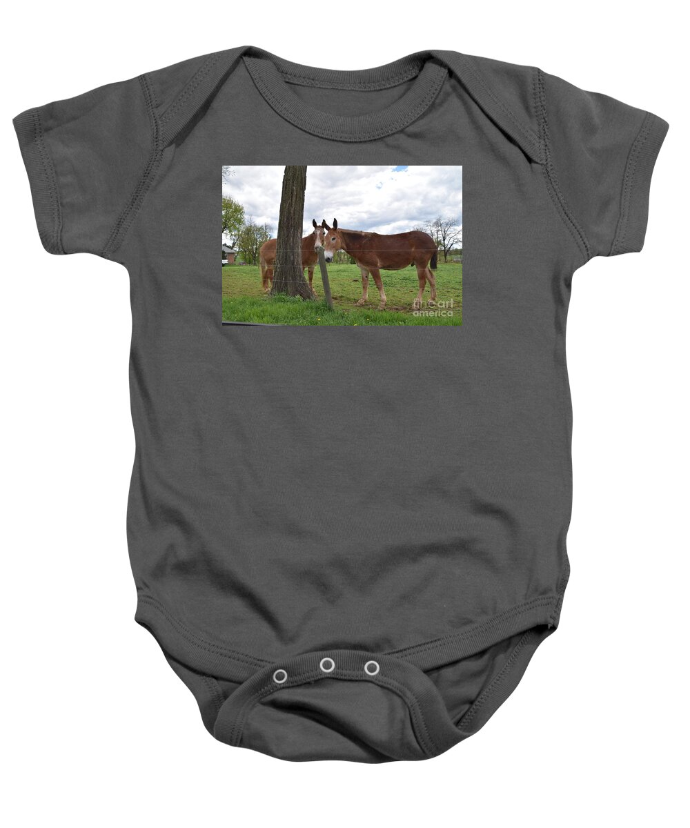 Amish Baby Onesie featuring the photograph Amish Animals on a Spring Afternoon by Christine Clark