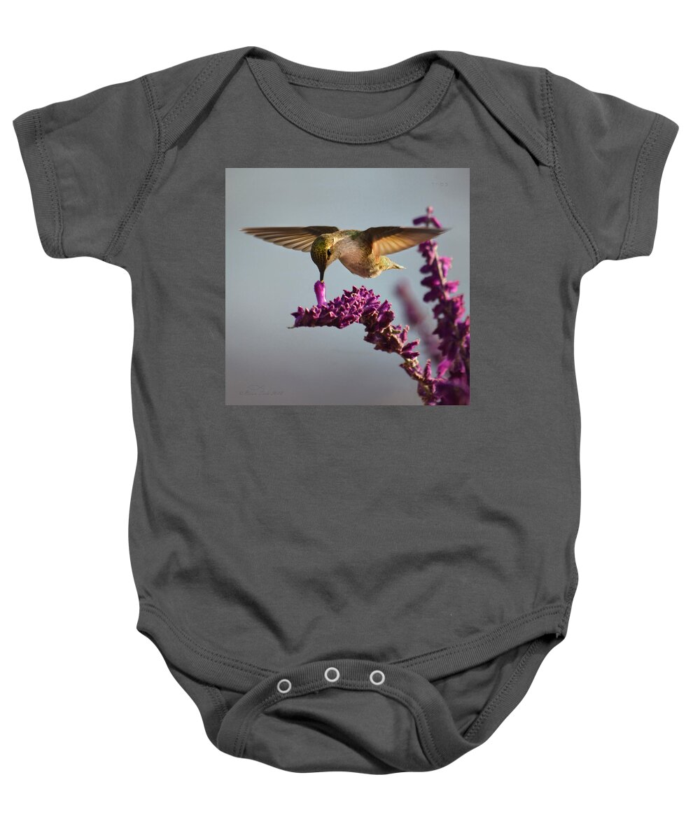 Wildlife Baby Onesie featuring the photograph Anna's Hummingbird Sipping Nectar from Salvia Flower by Brian Tada