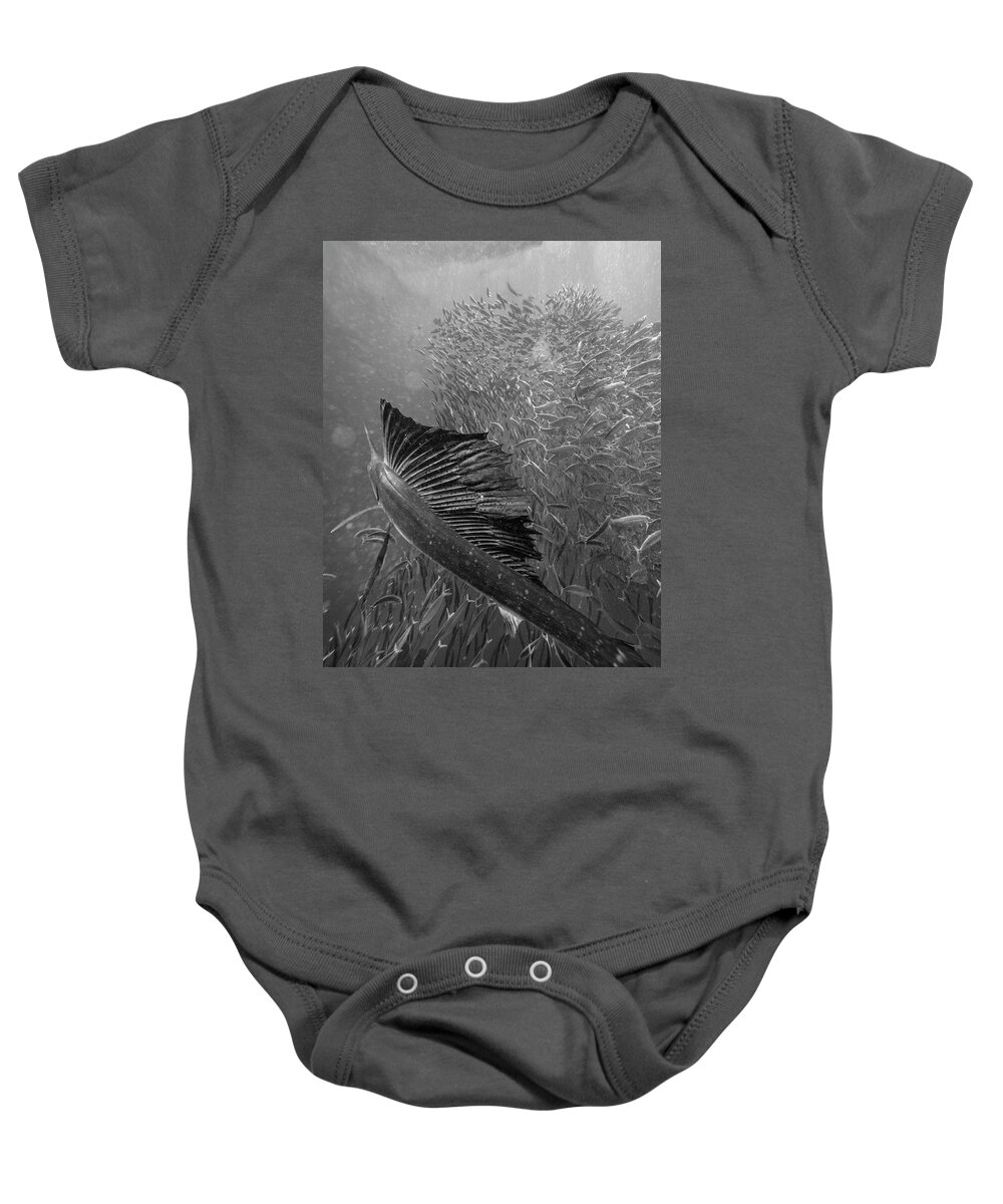 Disk1215 Baby Onesie featuring the photograph Atlantic Sailfish Hunting Bait Fish by Tim Fitzharris