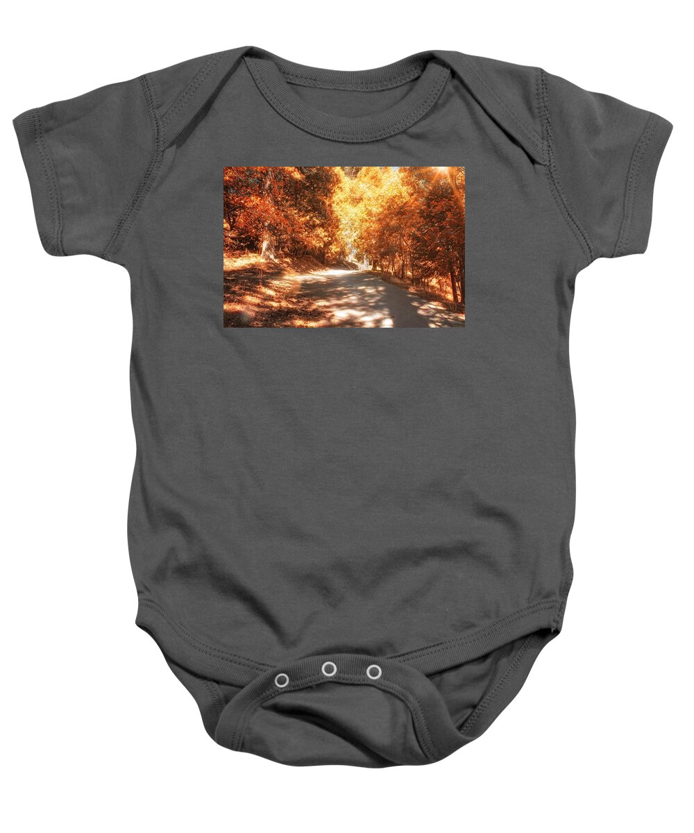 Autumn Baby Onesie featuring the photograph Autumn Forest by Alison Frank