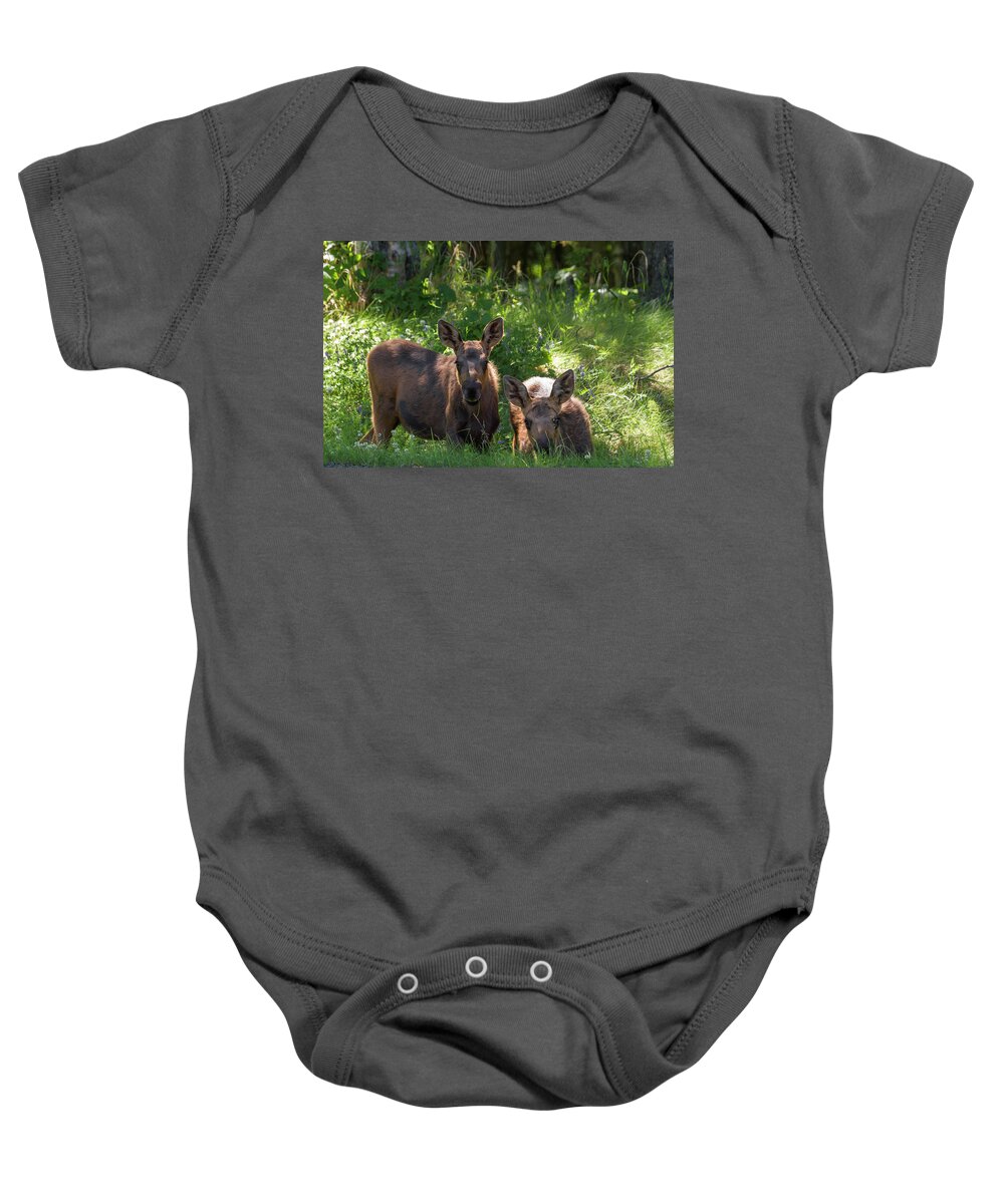 Alaska Baby Onesie featuring the photograph Baby Moose in Woods by Scott Slone