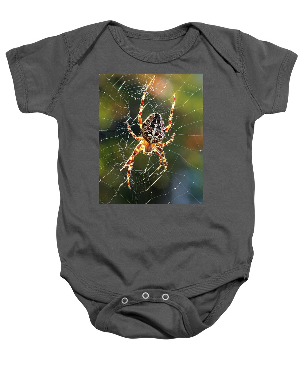 Spider Baby Onesie featuring the photograph Backyard Spider by Patrick Campbell
