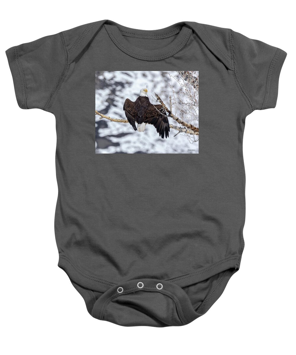 Bald Eagle Baby Onesie featuring the photograph Bald Eagle Spread Wings by Stephen Johnson
