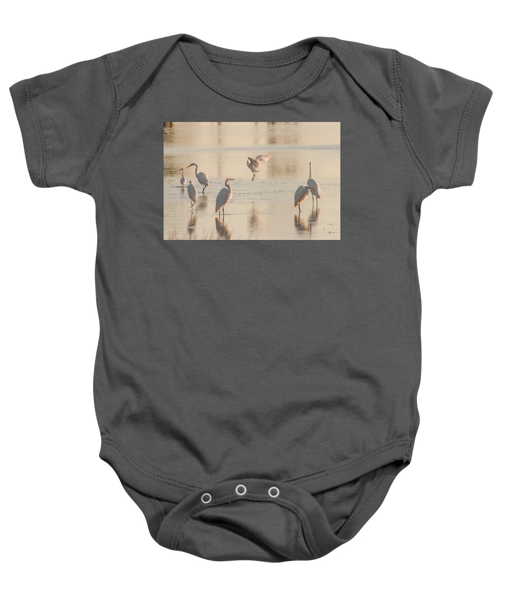 Birds Baby Onesie featuring the photograph Ballet of the Egrets by Donald Brown