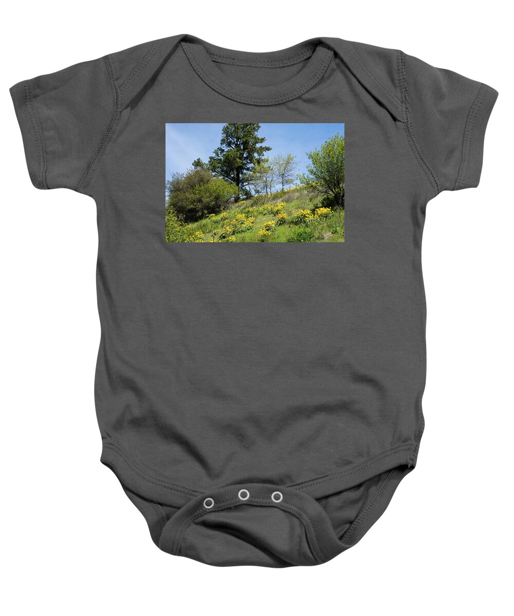 Balsamroot And Pine Near Klemgard Park Baby Onesie featuring the photograph Balsamroot and Pine Near Klemgard Park by Tom Cochran