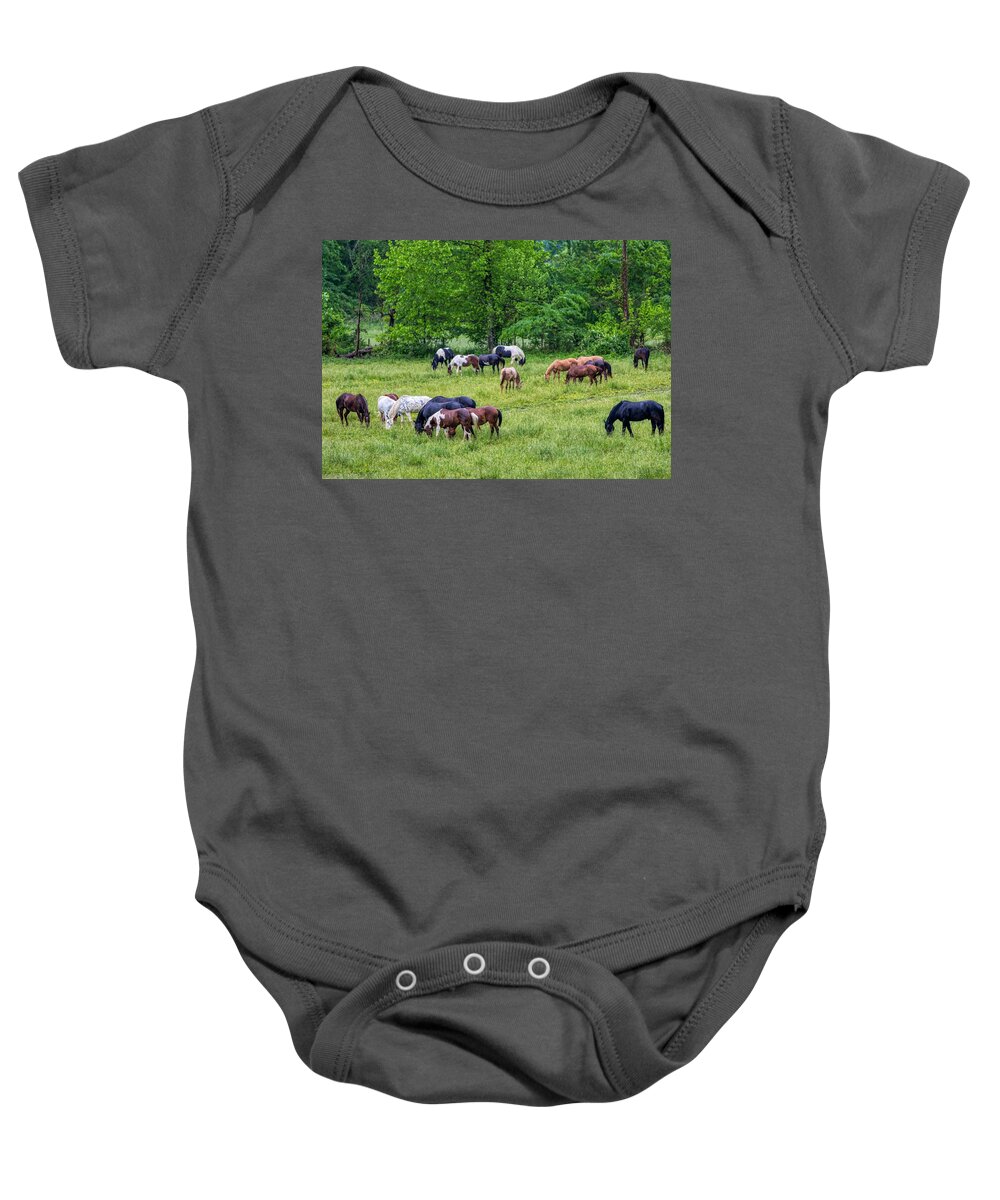 Horses Baby Onesie featuring the photograph Band of Horses by Dana Foreman