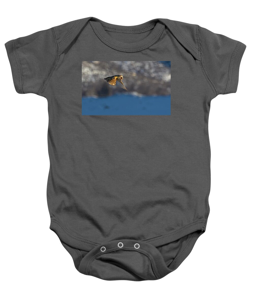 Barn Owl Baby Onesie featuring the photograph Barn Owl in Flight 4 by Rick Mosher