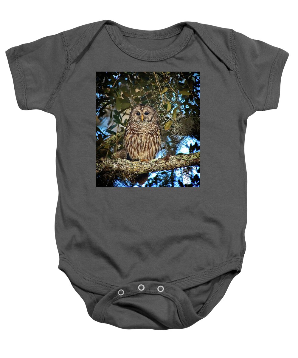 Bird Baby Onesie featuring the photograph Barred Owl 1 by Steve DaPonte
