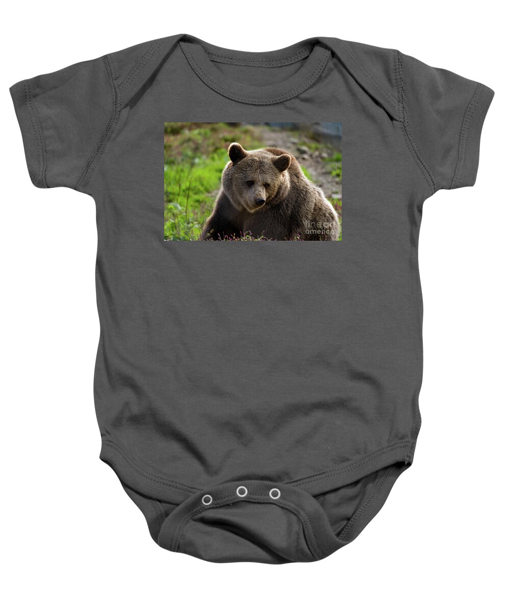 Grizzly Bear Baby Onesie featuring the photograph Bear with me by Sam Rino