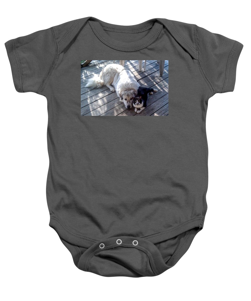 Dog Baby Onesie featuring the photograph Beau and Groucho by Ivars Vilums