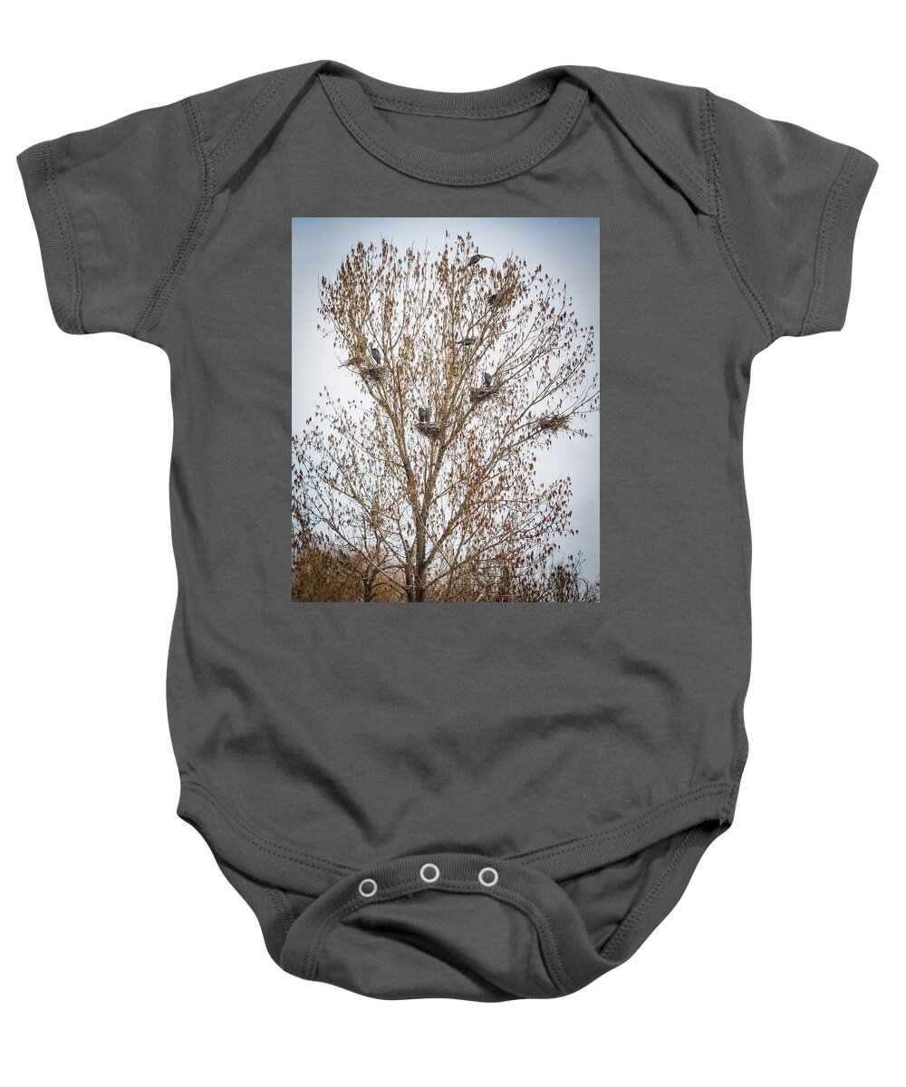 Great Blue Heron Baby Onesie featuring the photograph Beautiful Great Blue Heron Tree Houses by James BO Insogna
