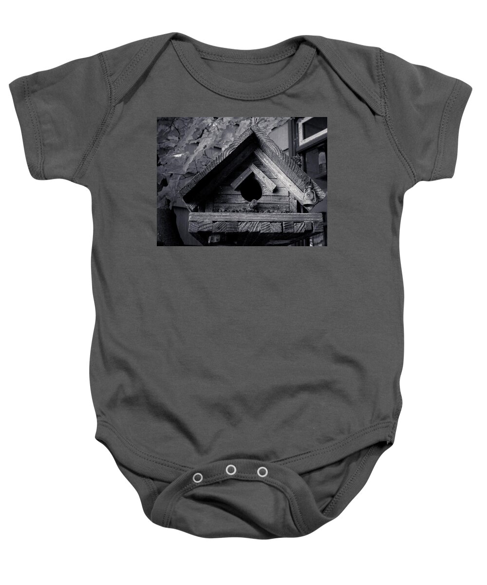 Bird House Baby Onesie featuring the photograph Bird House by Anamar Pictures