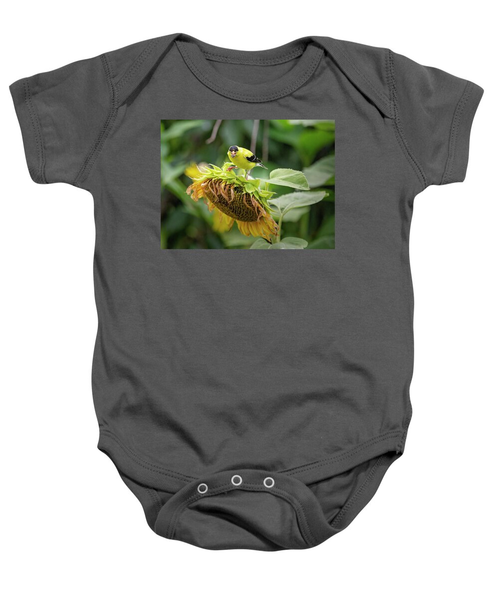 Bird Baby Onesie featuring the photograph Bird on a Sunflower 3 by Deborah Penland