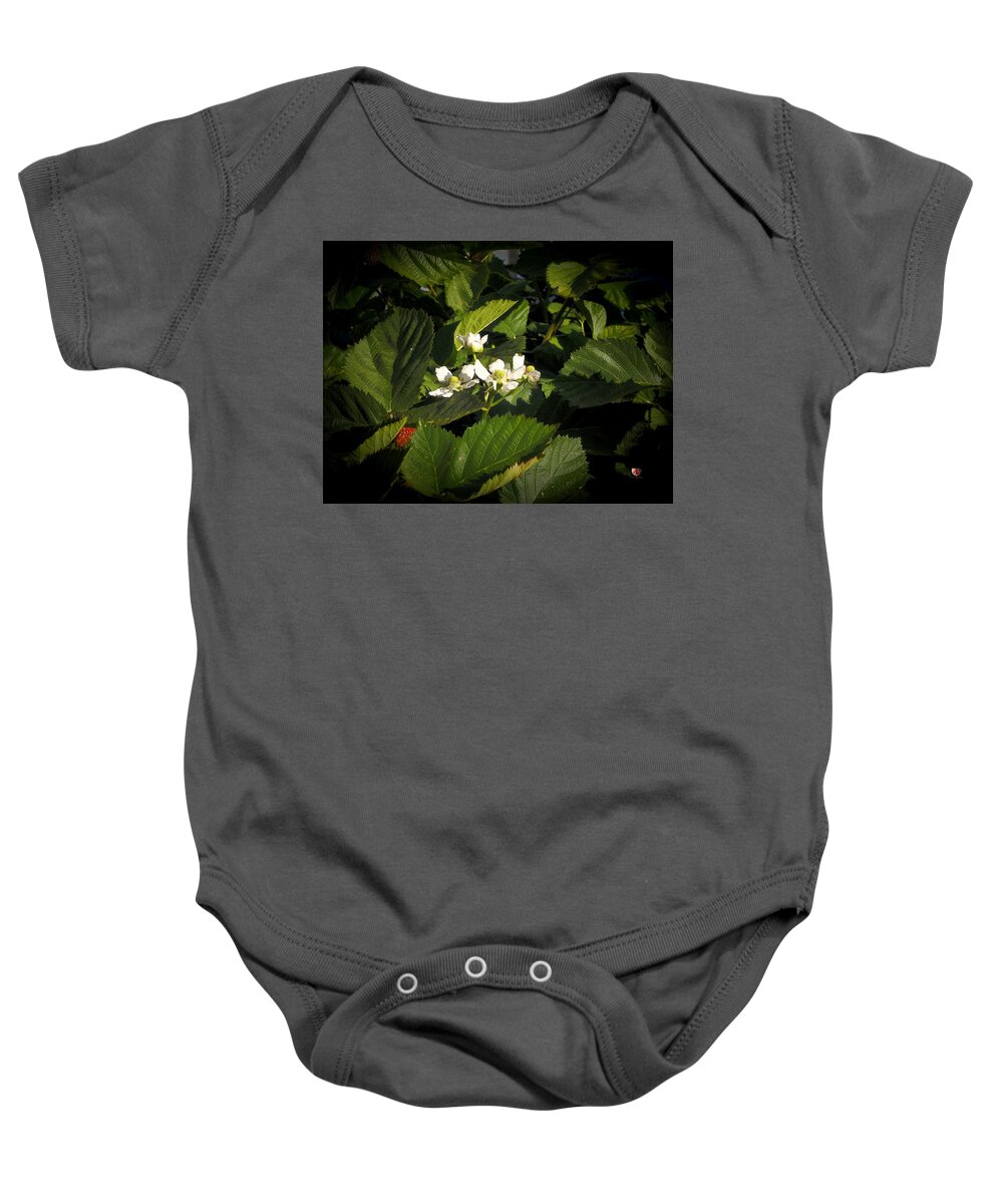 Botanical Baby Onesie featuring the photograph Blossoms White Red Berry by Richard Thomas