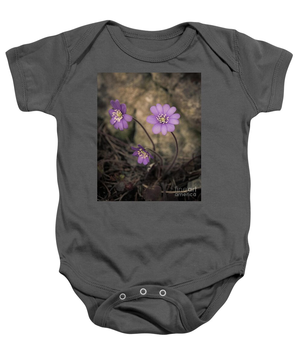 Common Baby Onesie featuring the photograph Blue violet anemone flower growing in a stone wall by Amanda Mohler
