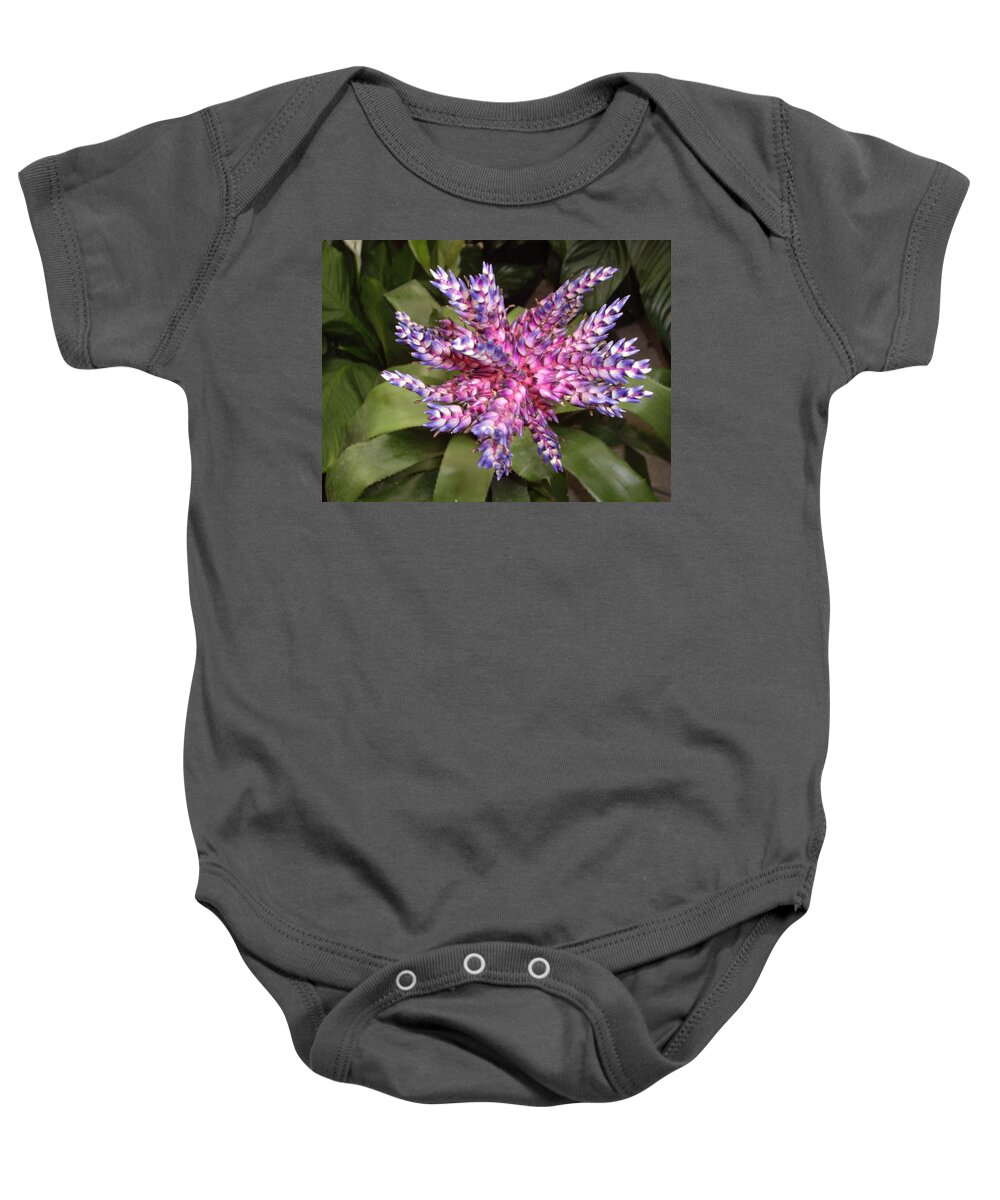 Bromeliad Baby Onesie featuring the photograph Bromeliad pink, purple, blue flower by Nancy Ayanna Wyatt