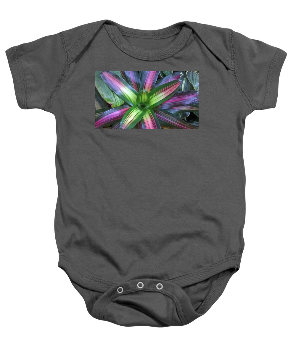 Duane Mccullough Baby Onesie featuring the photograph Bromeliads 11 by Duane McCullough