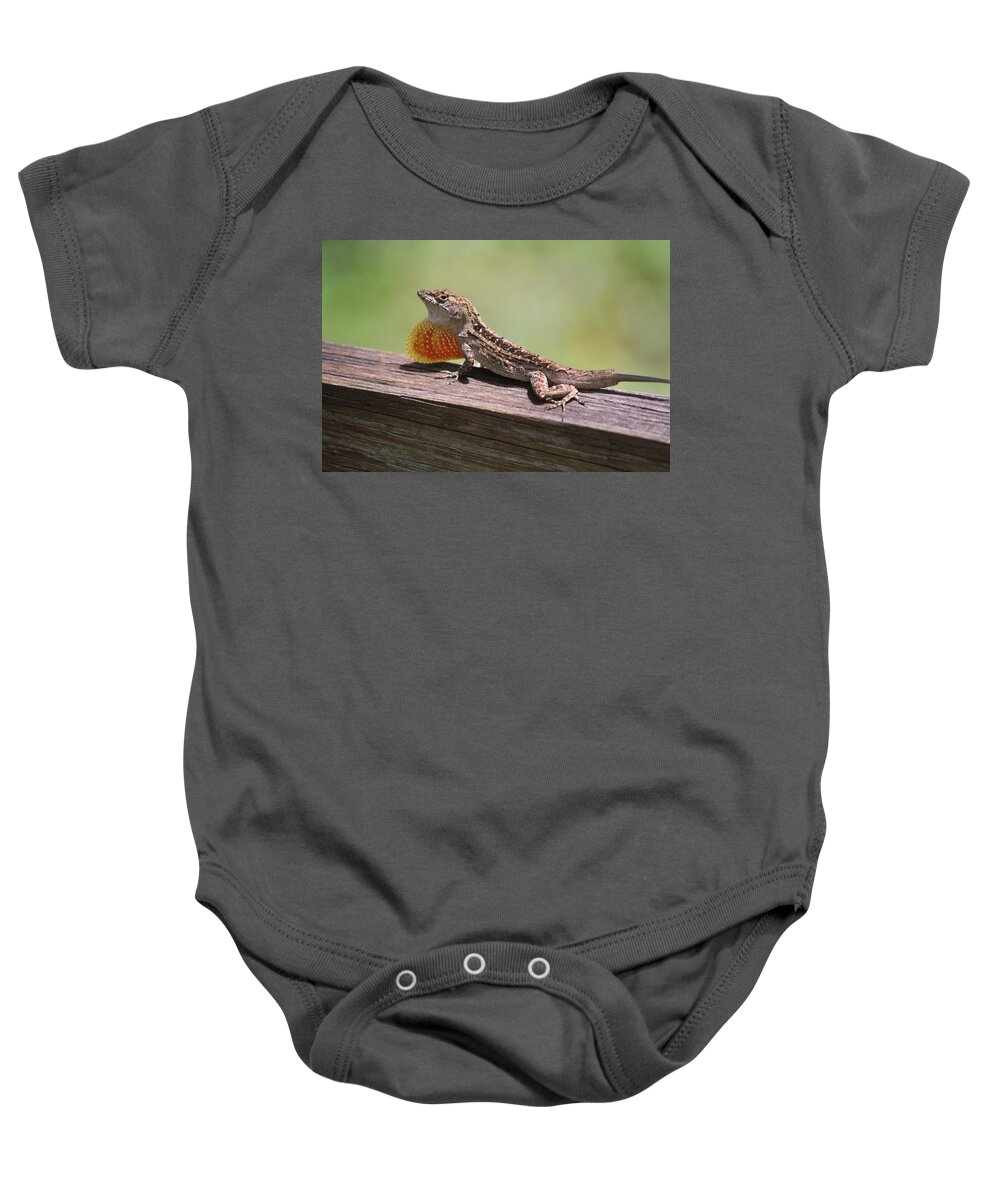 Lizard Baby Onesie featuring the photograph Brown Anole by Callen Harty