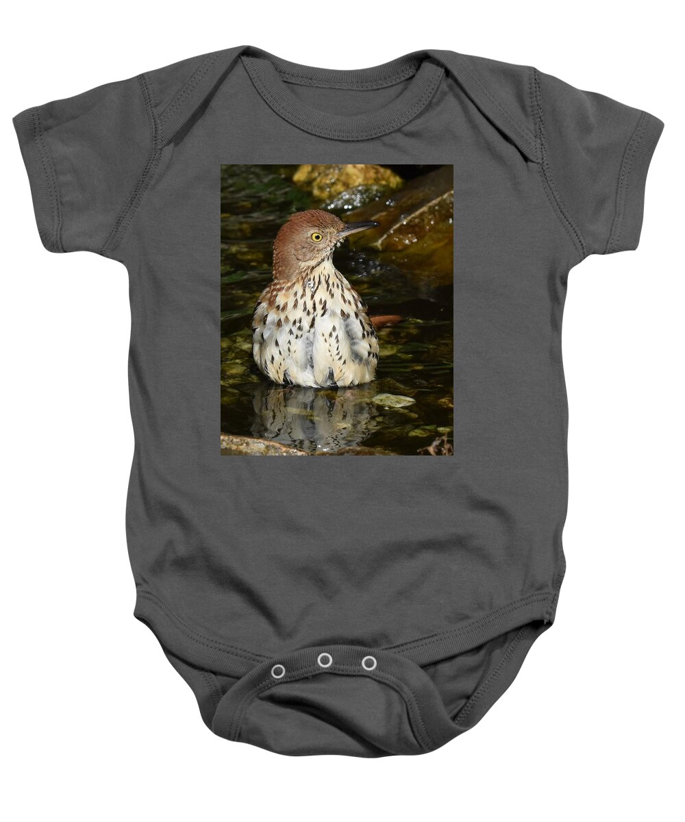 Brown Thrasher Baby Onesie featuring the photograph Brown Thrasher by Chip Gilbert
