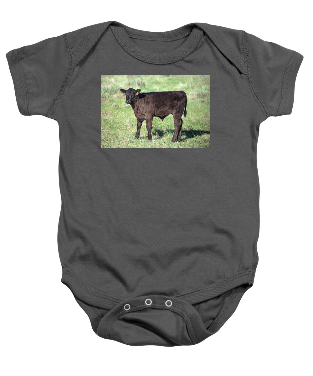 Bull Baby Onesie featuring the photograph Bull Calf by Todd Klassy