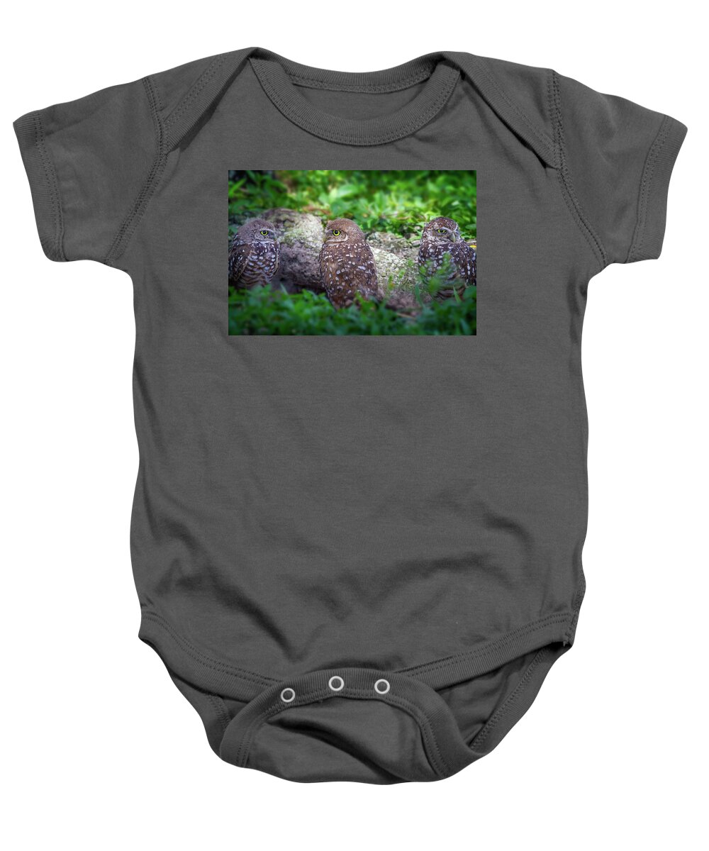 Owl Baby Onesie featuring the photograph Burrowing Owl Family by Mark Andrew Thomas
