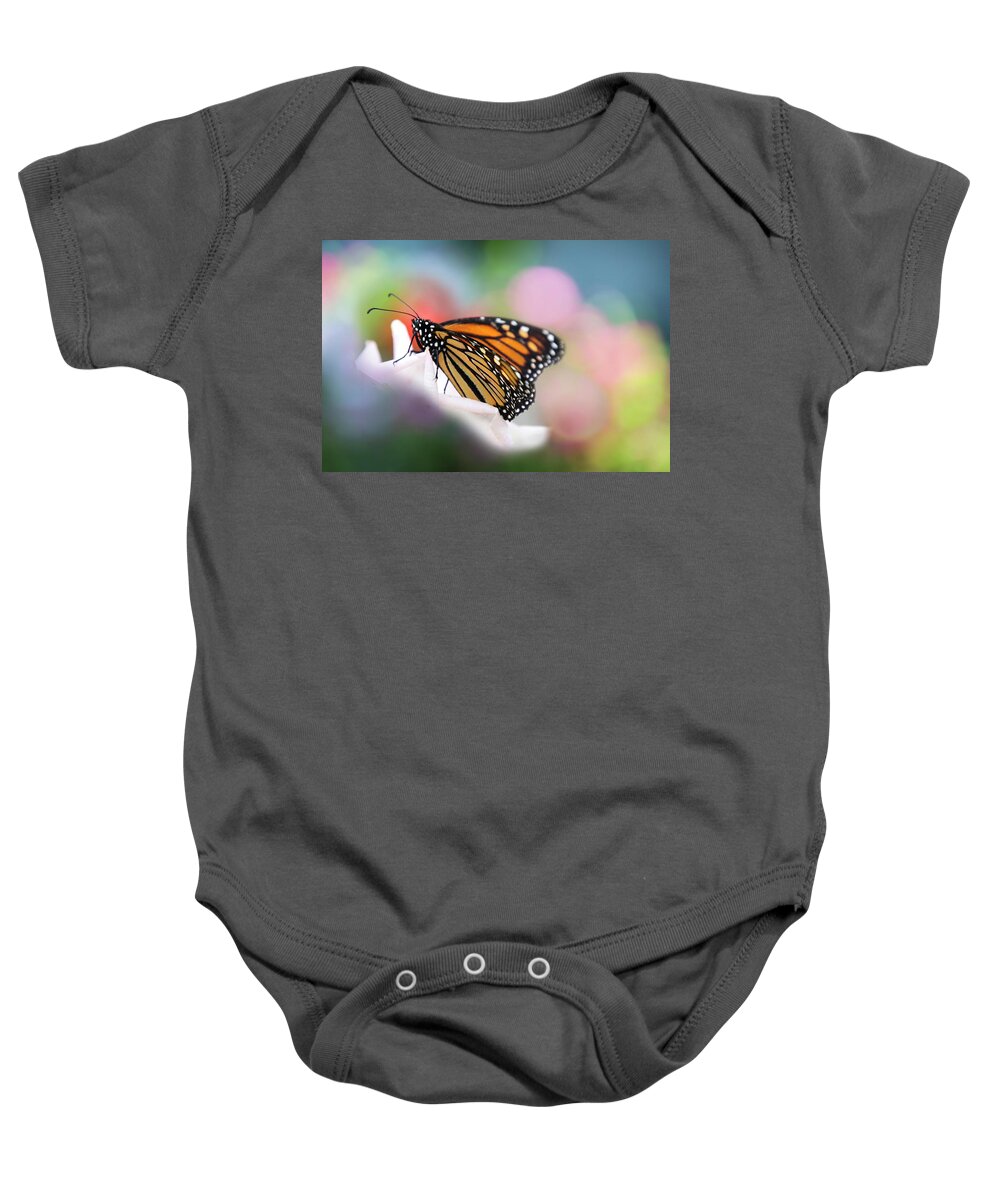 Butterfly Baby Onesie featuring the photograph Butterfly Garden by Diana Haronis