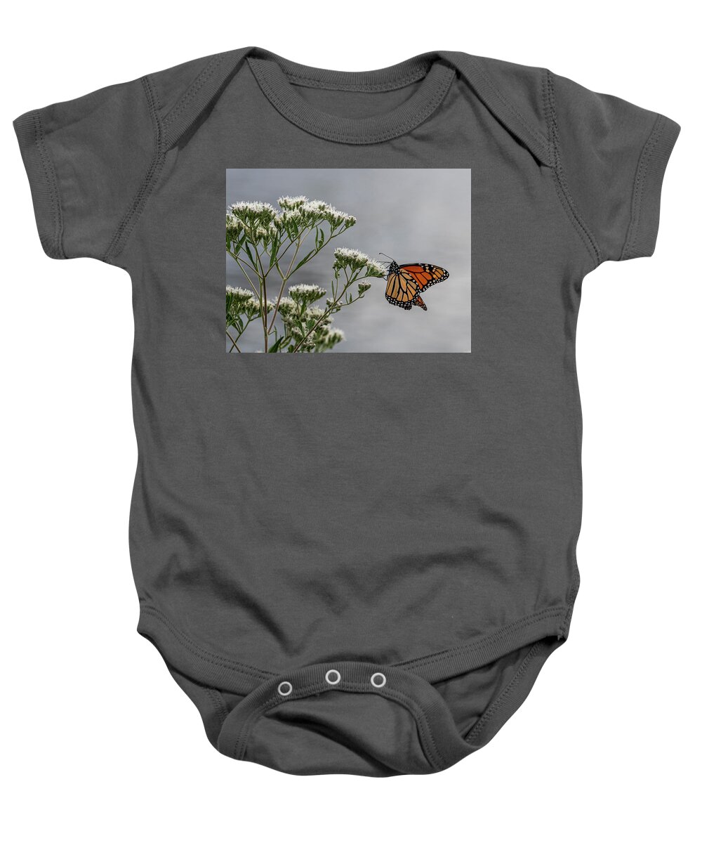  Baby Onesie featuring the photograph Butterfly by Kristine Hinrichs