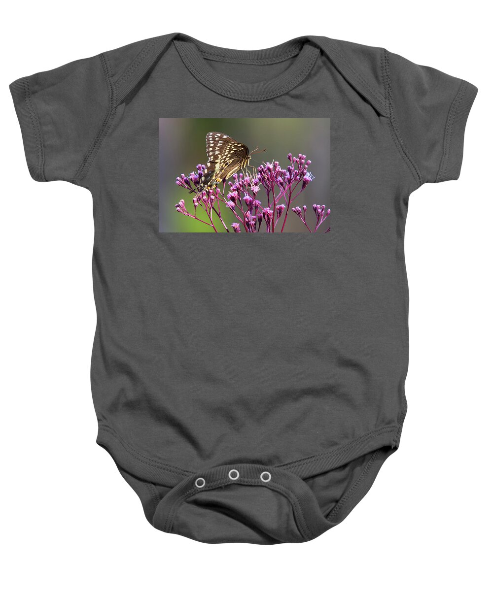 Butterfly Baby Onesie featuring the photograph Butterfly on Wild Flowers by Bob Decker