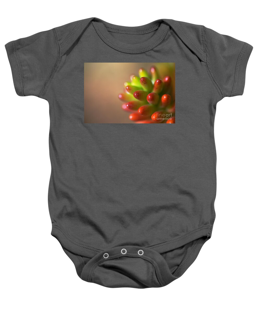 Cactus Of Red And Green Baby Onesie featuring the photograph Cactus Of Red and Green by Joy Watson