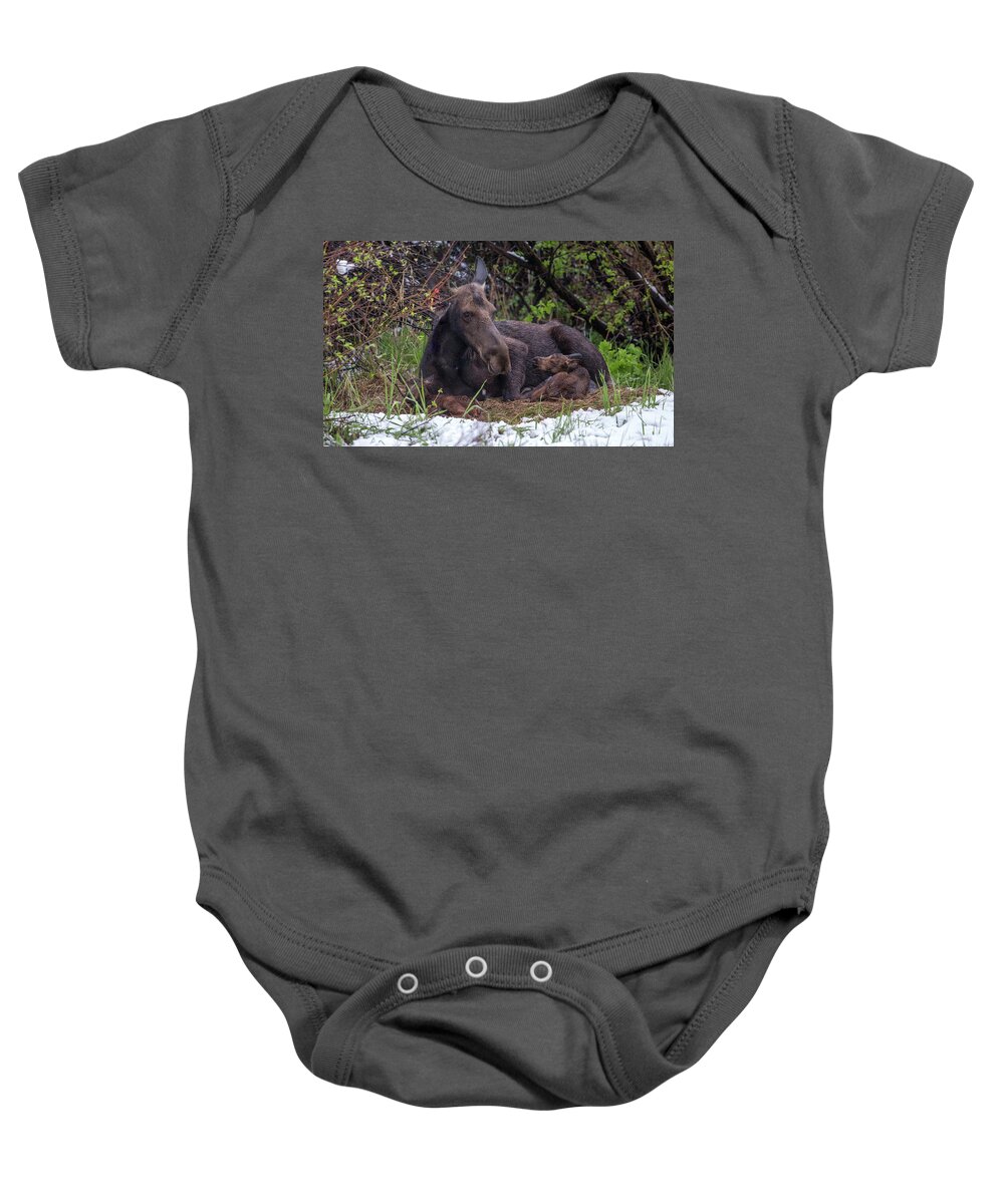 2019 Baby Onesie featuring the photograph Casey's Gift by Kevin Dietrich