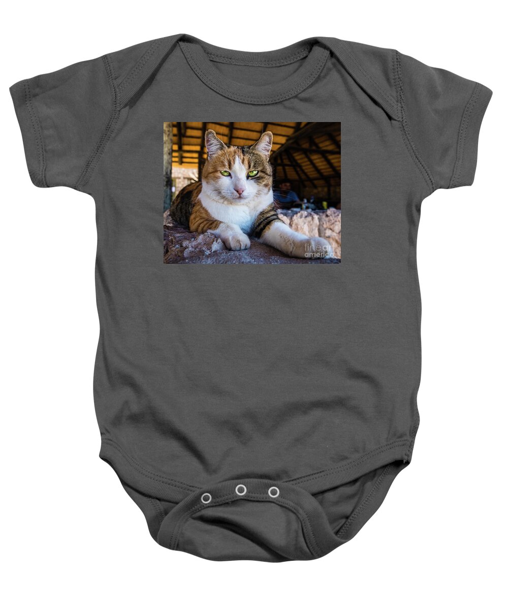 Cat Baby Onesie featuring the photograph Cat with beautiful green eyes by Lyl Dil Creations