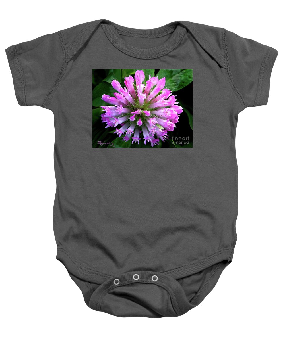 Flora Baby Onesie featuring the photograph Clover by Mariarosa Rockefeller