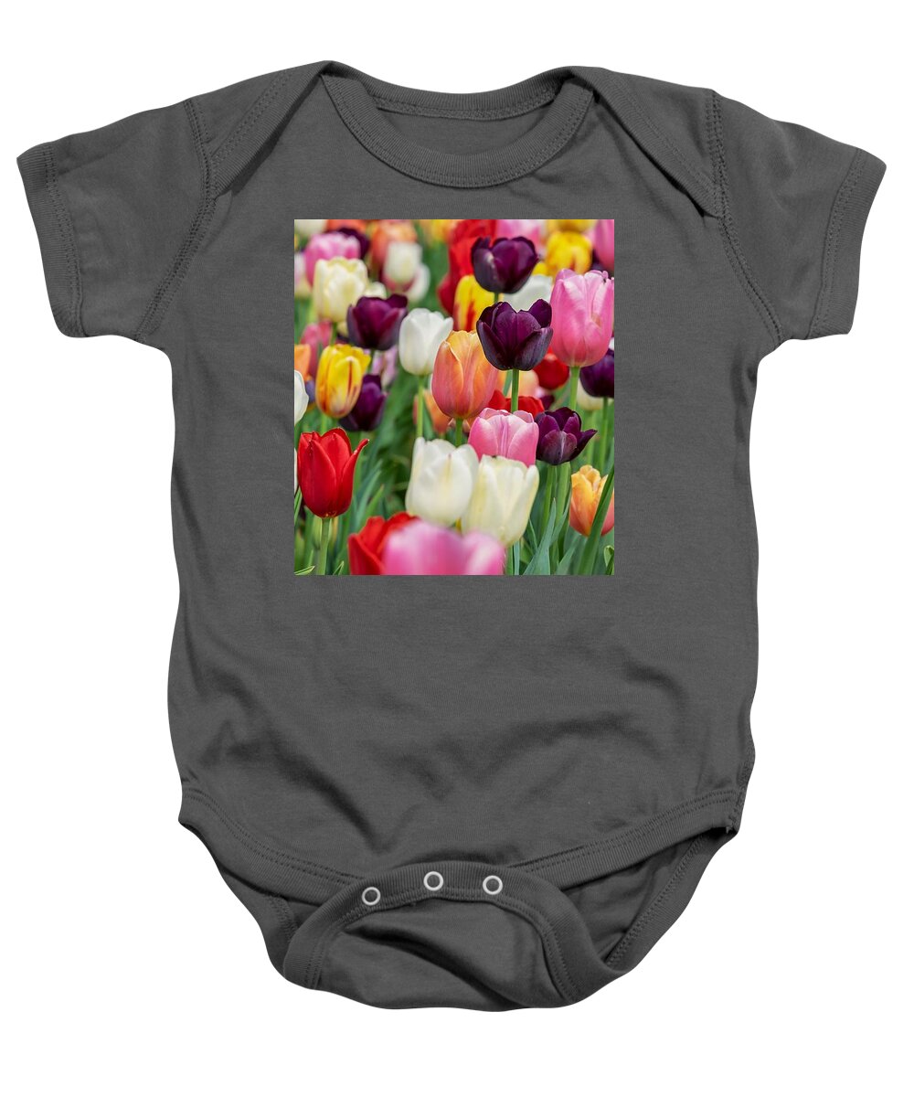 Cute Baby Onesie featuring the photograph Colour tulips by Top Wallpapers