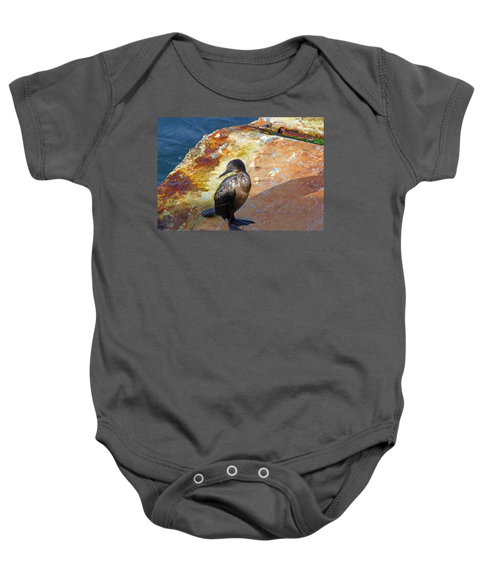 Cormorant Baby Onesie featuring the photograph Double-Crested Cormorant by Anthony Jones
