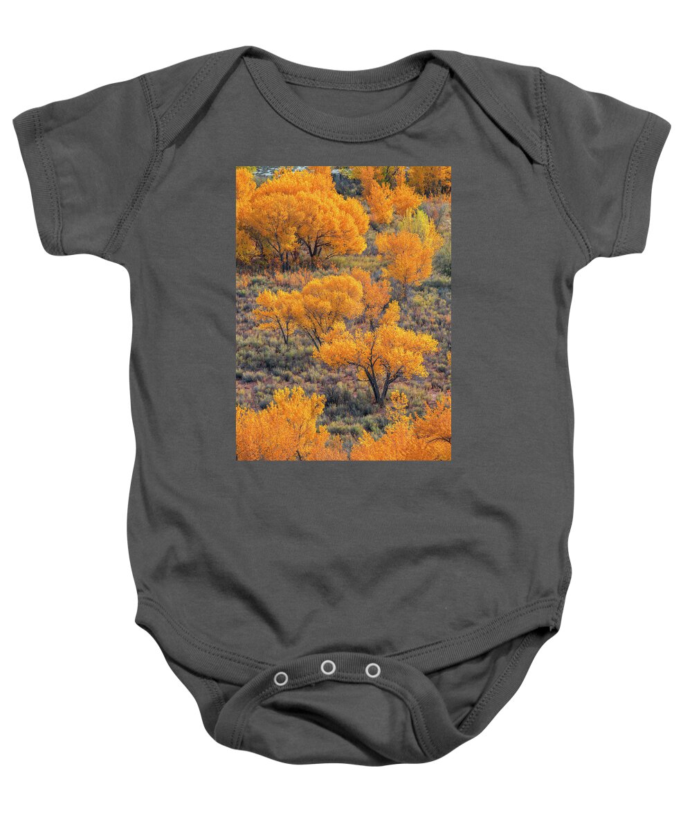Utah Baby Onesie featuring the photograph Cottonwoods in Autumn by Dustin LeFevre