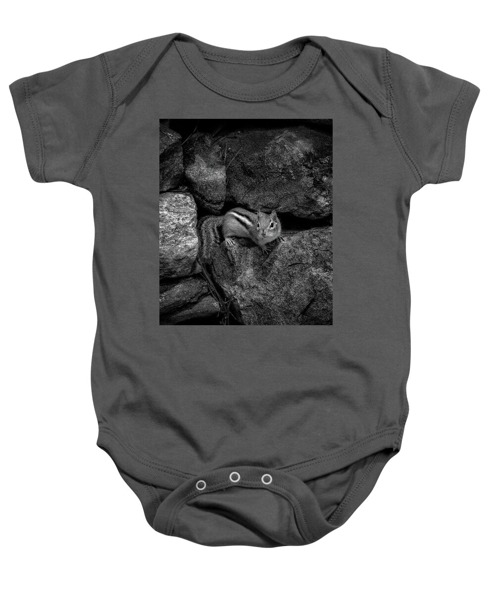 Animal Baby Onesie featuring the photograph Curious Baby Chipmunk by Bob Orsillo