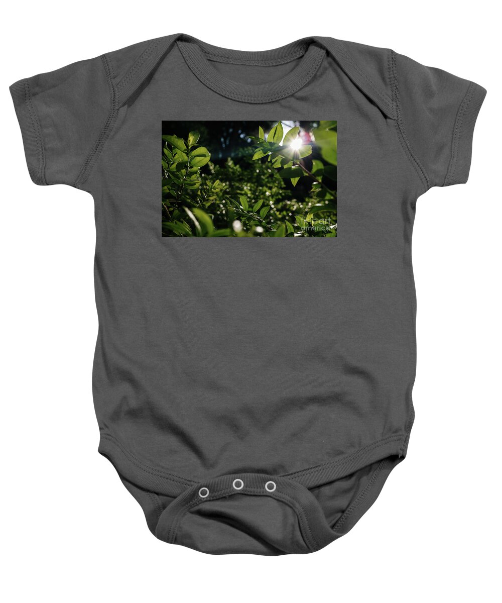 Abstract Baby Onesie featuring the photograph Dense foliage of green leaves illuminated by the sun, background by Joaquin Corbalan