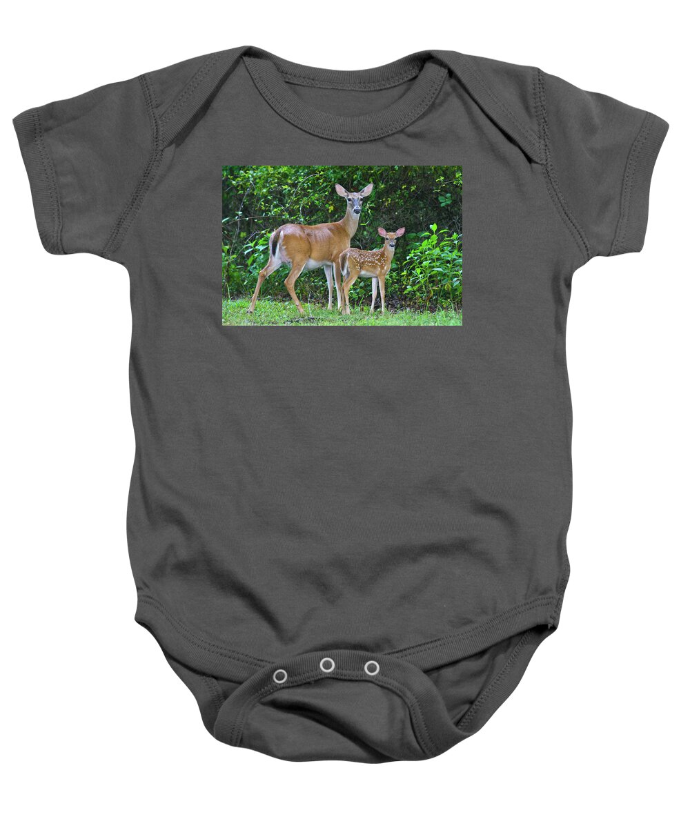 Doe And Fawn Baby Onesie featuring the photograph Doe and Fawn by Greg Smith