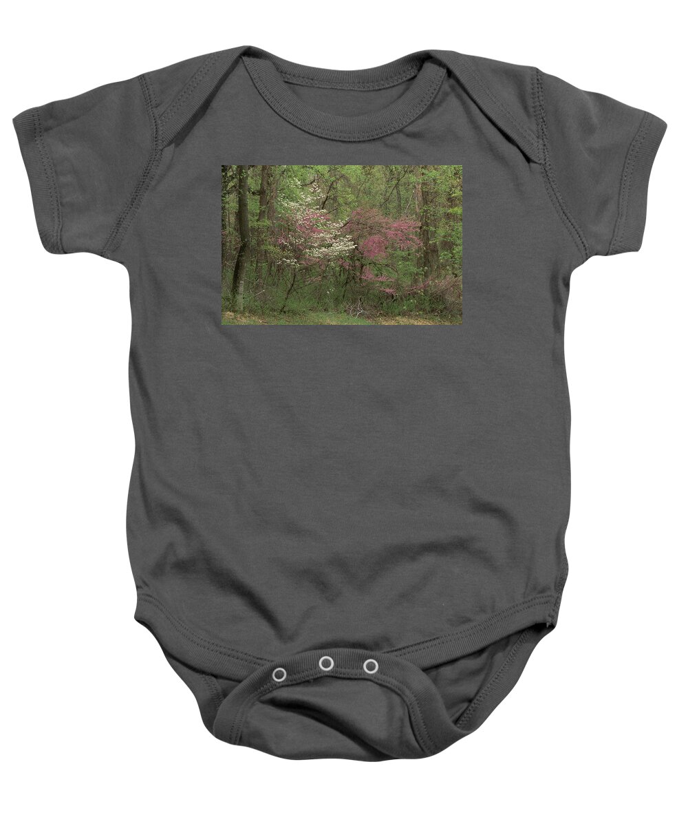 Appalachia Baby Onesie featuring the photograph Dogwood And Redbud In Virginia by Michael Lustbader