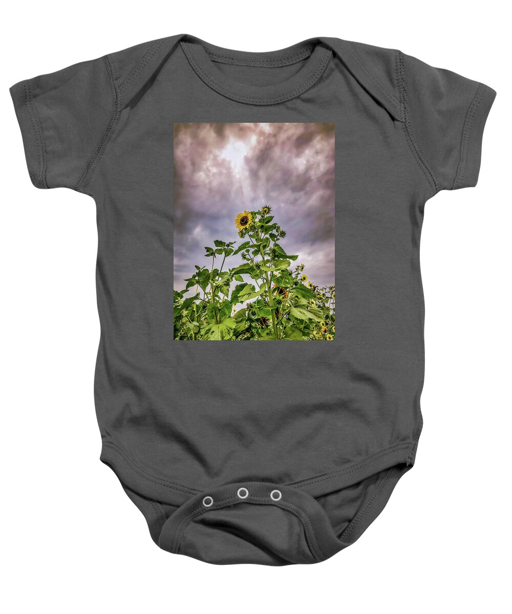 Sunflower Baby Onesie featuring the photograph Dramatic Sunflower by Anamar Pictures