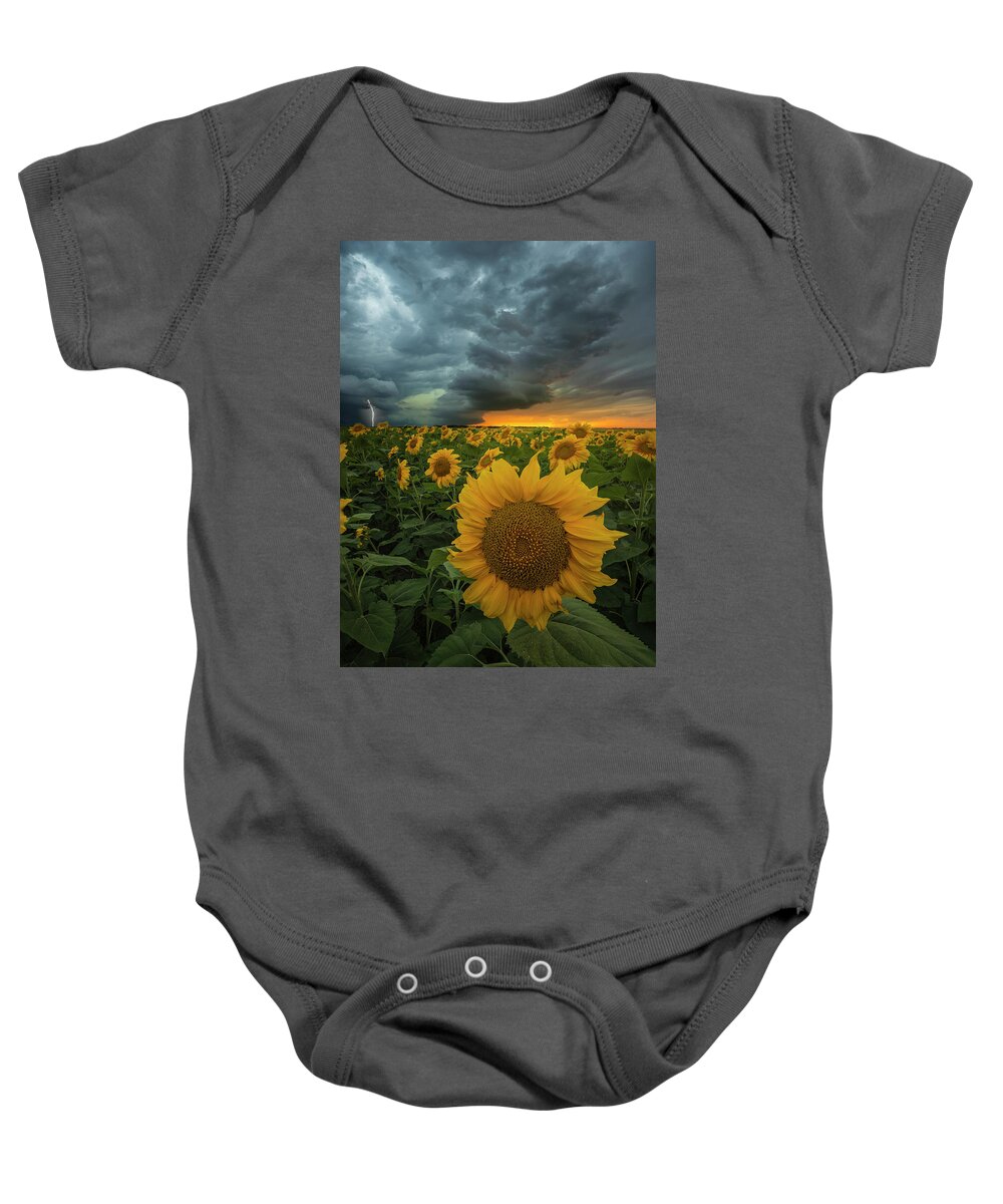 Sunflowers Baby Onesie featuring the photograph Eccentric by Aaron J Groen
