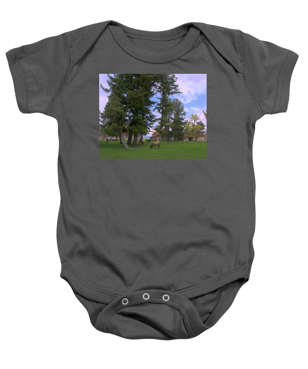 Elk Baby Onesie featuring the photograph Elk Grazing by Cathy Anderson