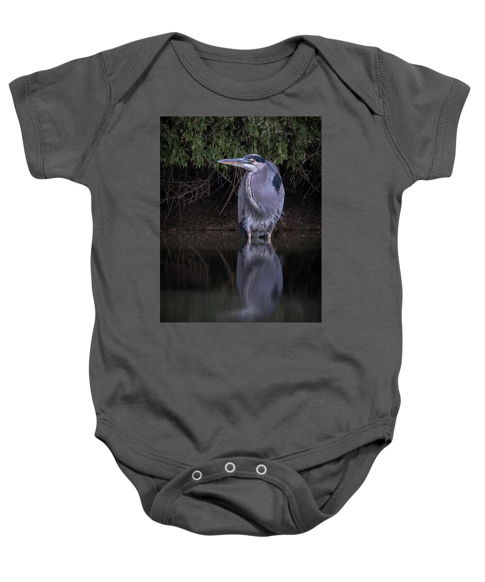 American Southwest Baby Onesie featuring the photograph Evening Stalk by James Capo
