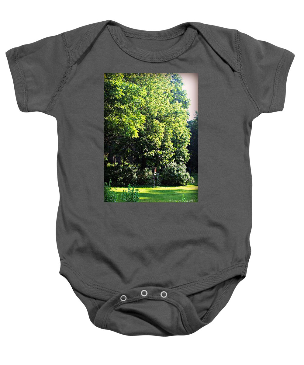 Nature Baby Onesie featuring the photograph Faithful Birdhouse by Frank J Casella