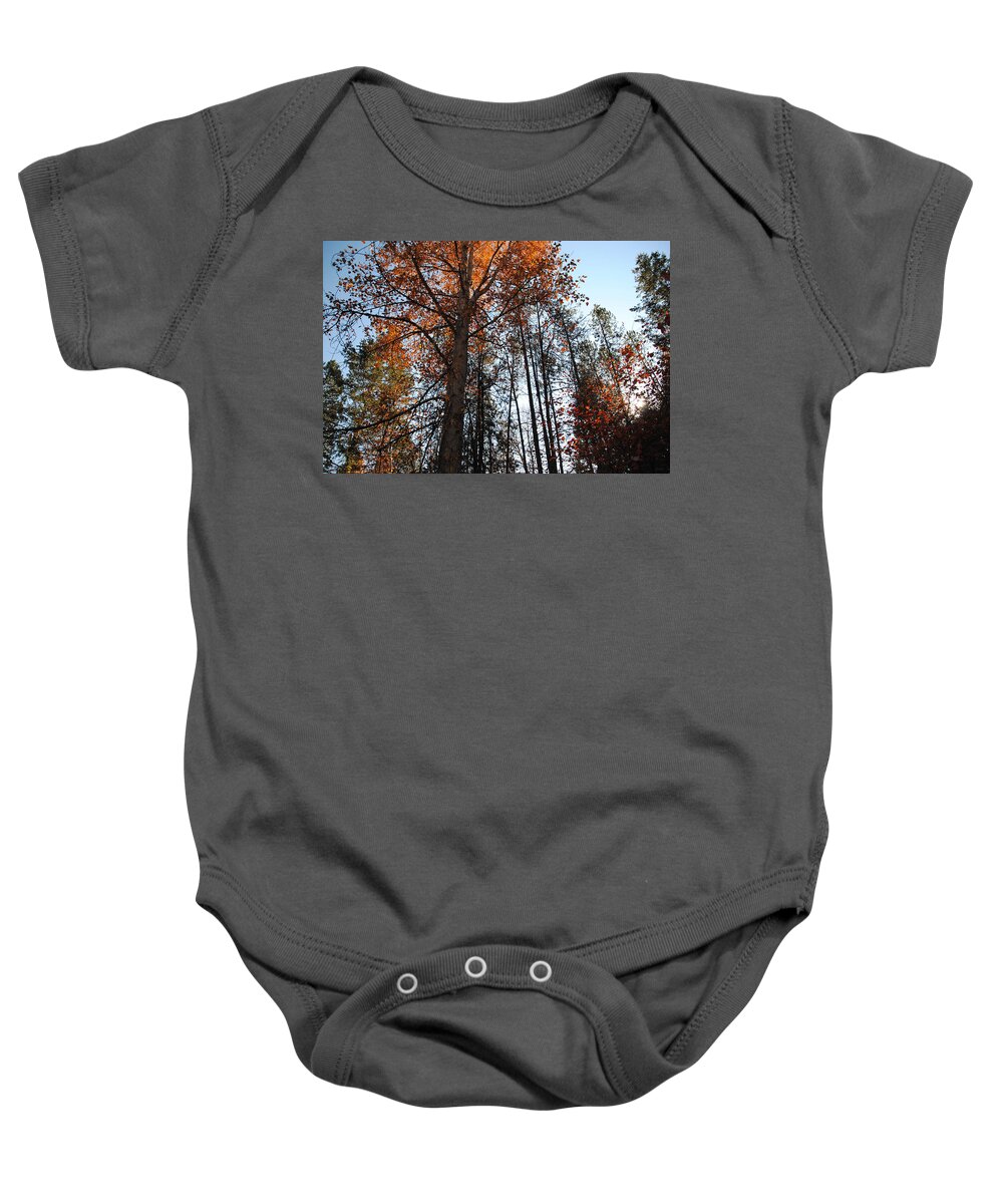 Trees Baby Onesie featuring the photograph Fall in Montana by Vallee Johnson