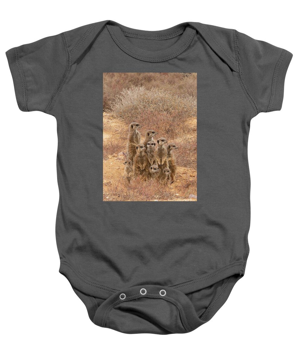 Africa Baby Onesie featuring the photograph Family meerkat in the wild by Patricia Hofmeester